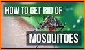Get Rid of Mosquitoes related image
