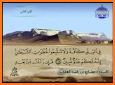 Mishary Full Offline Quran MP3 related image