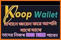 KOOP Wallet related image