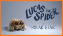 Lucas The Spider related image