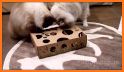 Meow Kitty Puzzle related image