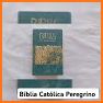 Bíblia Católica de estudo related image