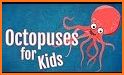 Octopuses Basic Infos related image