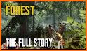 Forest Story related image