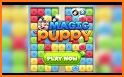 Puppy Cube: FUN & Blast 3 Match Game related image