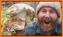 Vancouver Is. Mushroom Forager related image