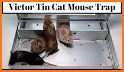 Mouse Traps Cat related image