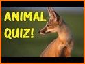 Animals Quiz - Guess the Animal related image