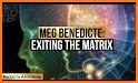 MEG Conference related image