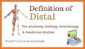 Medical Terms And Definition related image