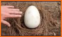 Save The Last Dino Egg related image