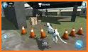 Dog Town- My Pet Simulator 3D related image