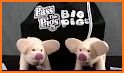 Toss the Pigs - Fun Dice Game related image