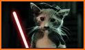 Meow Wars: Card Battle related image
