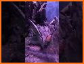 Scorpion Wildlife Insect Venom related image