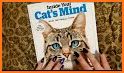 Your Cat Magazine related image