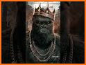 king Kong & Samurai related image