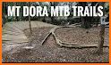Little Dora Mountain Bike related image