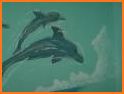 Dolphins and orcas wallpaper related image