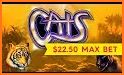 Casino Cash Cats 2 Slots PAID related image