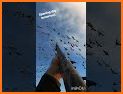 Duck Hunting with Gun related image