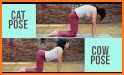 Cat Stretch related image