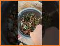 Chile, Nut and Vegetable Sauce related image