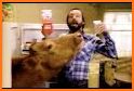 Rich Cow related image