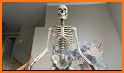 12ft Skeleton Finder related image