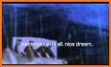 Your Nice Dream related image