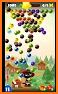 Fruity Cat  - bubble shooter related image