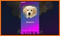 Hexa Jigsaw - Dogs jigsaw puzzle game related image
