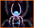 SPIDERS! - Spider Web Puzzle related image