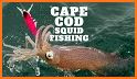 Squid Fishing related image