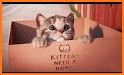 Kittens Memory Game with photos of cute kittens related image