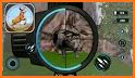 Deadly Animal Hunting Game: Sniper 3D Shooting related image
