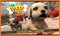Dog Run - Pet Dog Simulator related image