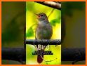 Bambee - Learning English with Pictures & Sounds related image