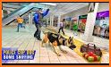 US Police Dog Shopping Mall Crime Chase related image