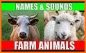 Farm Animal Sounds related image