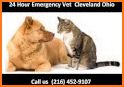 Cleveland Vet Clinic related image