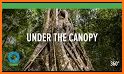 The Canopy App related image