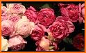 Bouquet of flowers and roses GIF 2020 related image