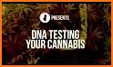 Cannabis Strains Database related image