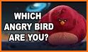 What kind of bird are you? Test related image