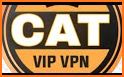 Cat VPN related image