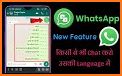 Easy Chat Translator: All Language related image