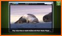 HD video player -All format video player related image