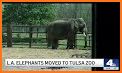 Zoo Care related image