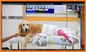 Animal Care Clinic Oregon related image